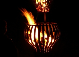 2011/07/18 - feuerkrbe